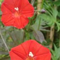 Picasa 2.7